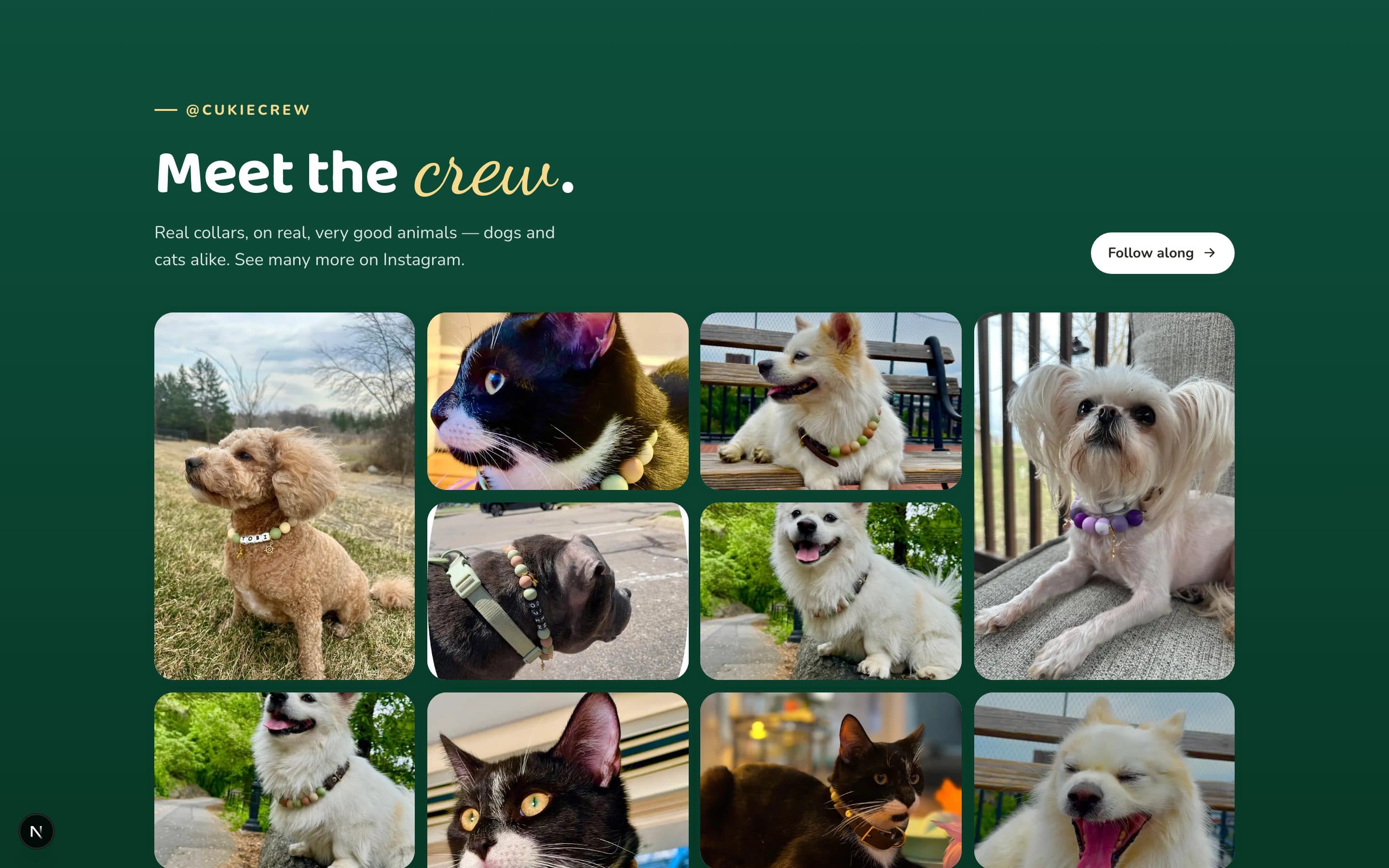 Cukie Crew, Meet the crew gallery